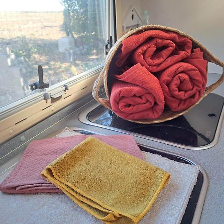 Camping Car A 3 Minutes Du Parc Pairi Daiza Hotel Brugelette Bagian luar foto